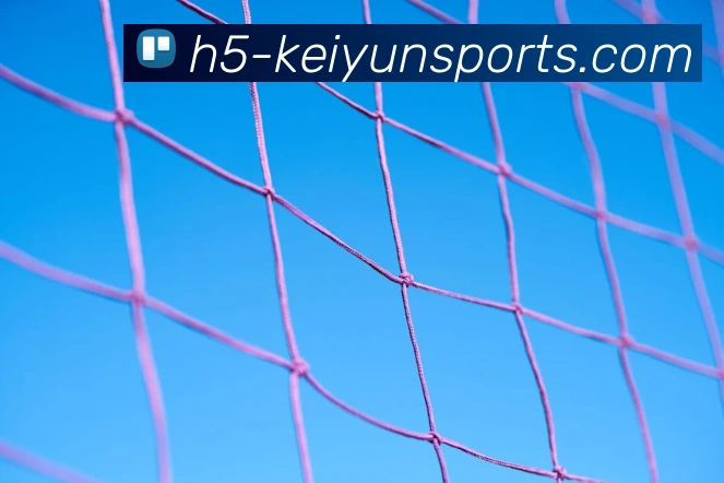 体育下注品牌故事